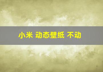 小米 动态壁纸 不动